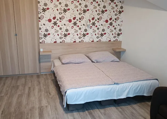 Katalin Vendeghaz Pensjonat 3*