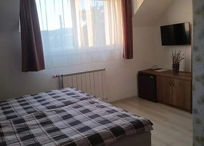 Katalin Vendeghaz גיינסדיאס